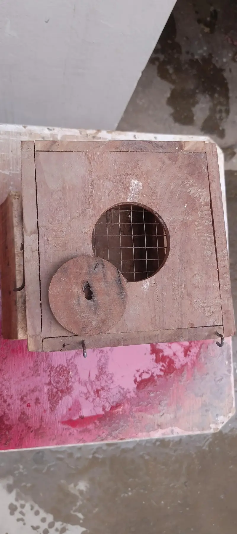 Some Breeding Boxes Available for reasonable price — photo 4