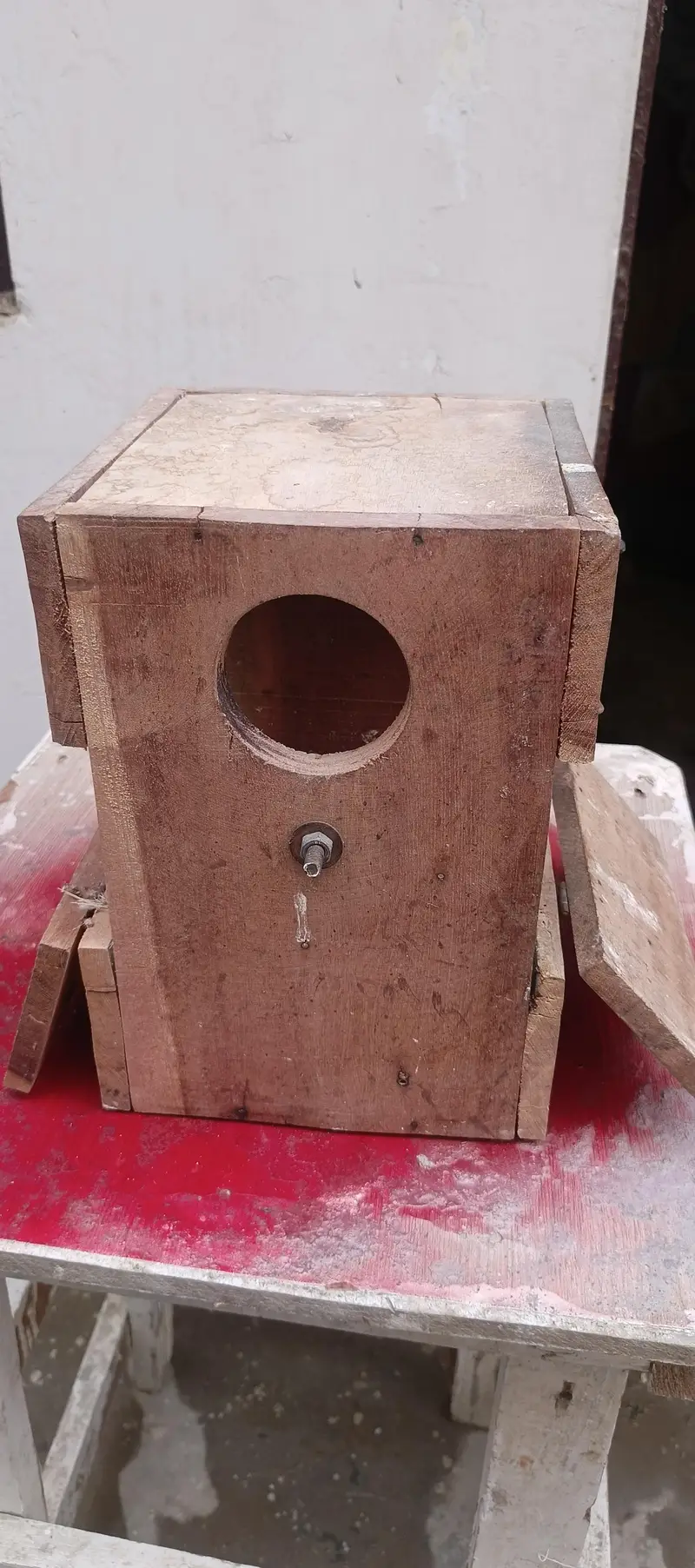Some Breeding Boxes Available for reasonable price — photo 5