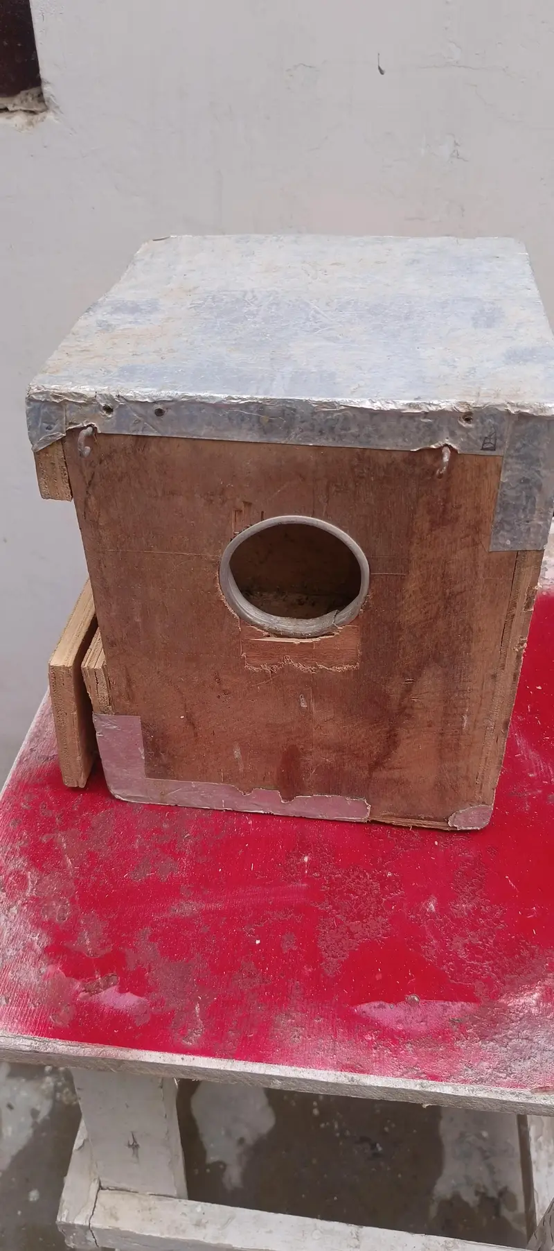 Some Breeding Boxes Available for reasonable price — photo 8