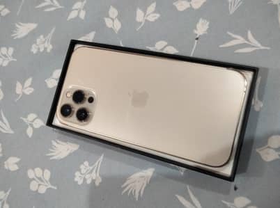 Apple iPhone 12 Pro Max