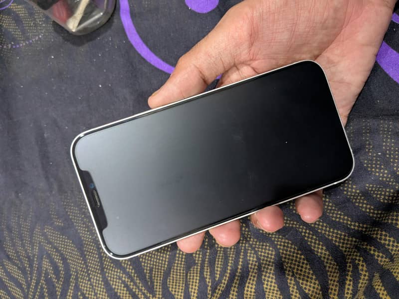 Apple iPhone 12 1