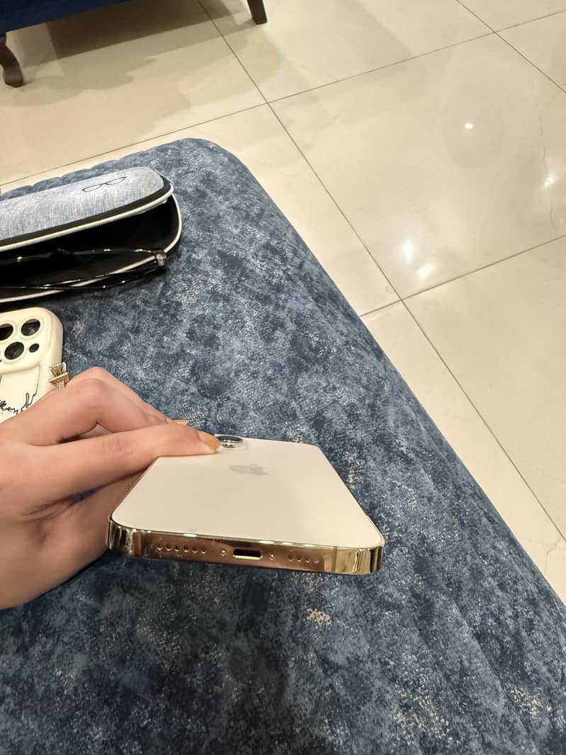 Apple iPhone 12 Pro Max 2