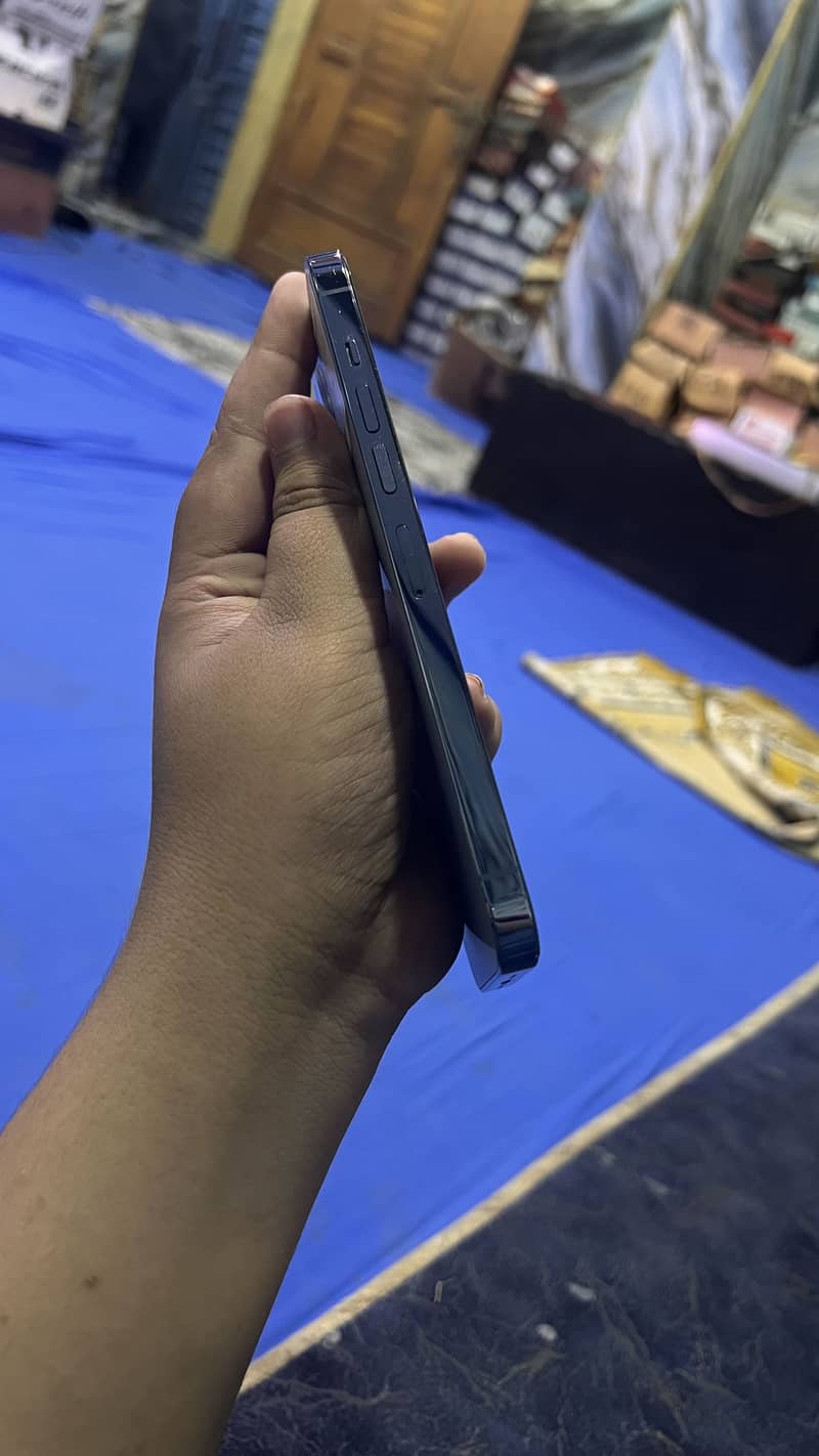 Apple iPhone 13 Pro Max 1