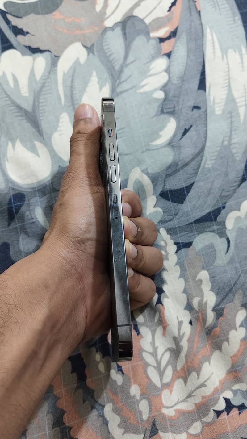iPhone 13 Pro Max 2