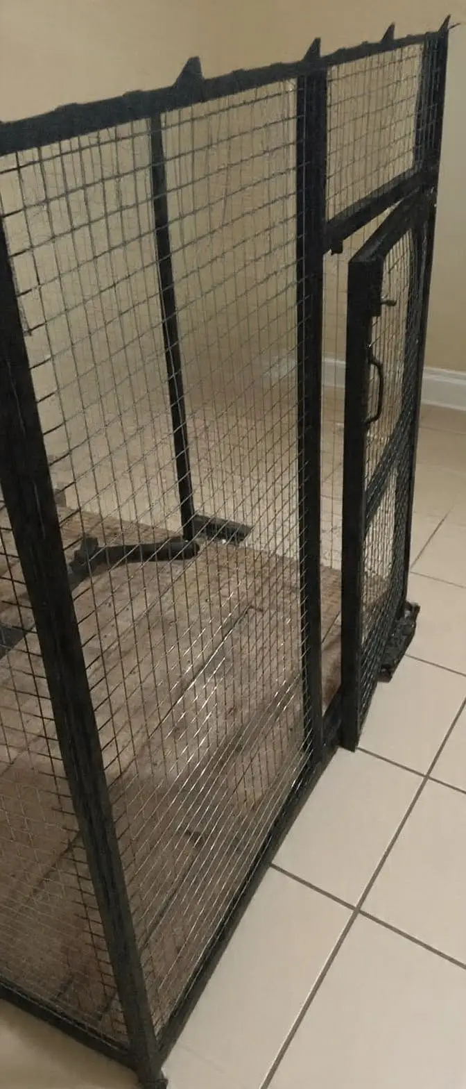 Big Large size cage Bird Cat Dog Lion  (Rust-proof) — photo 2