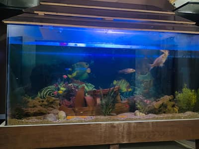 Aquarium For Sale 3ft by 18 inch by 2 ft hight