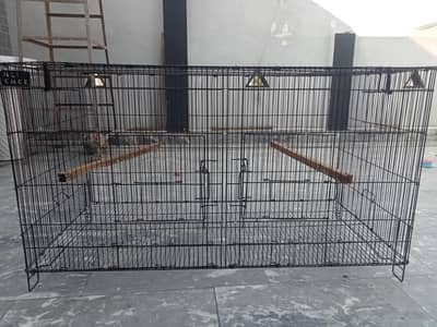 Birds Cage