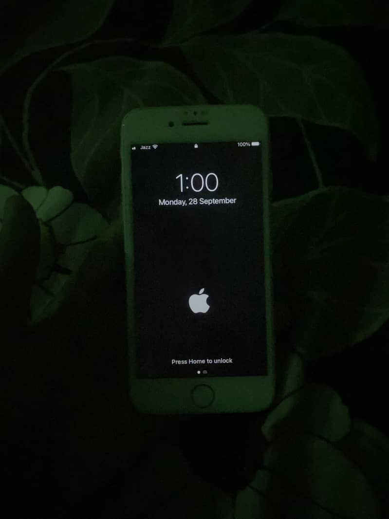 Apple iPhone 7 1