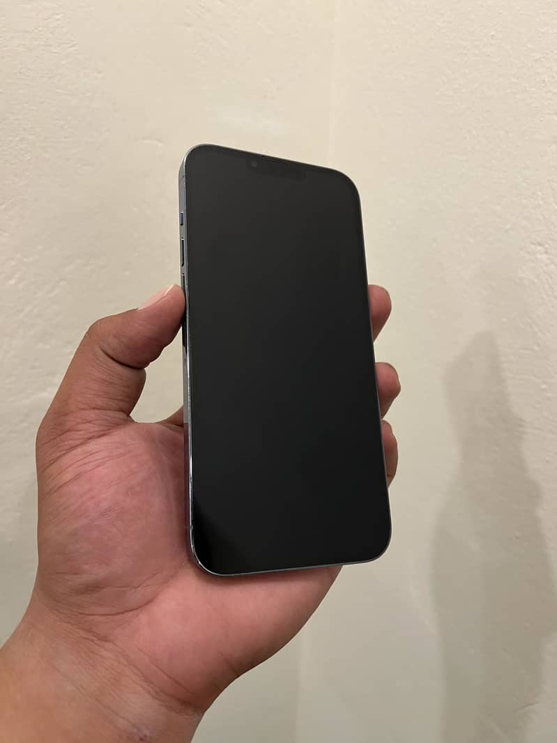 Apple iPhone 13 Pro Max 1