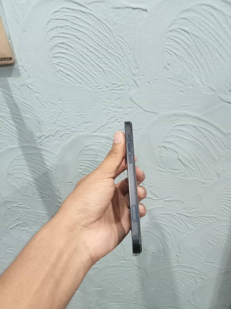 Apple iPhone 12 1