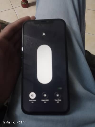 Apple iPhone 12 Pro Max