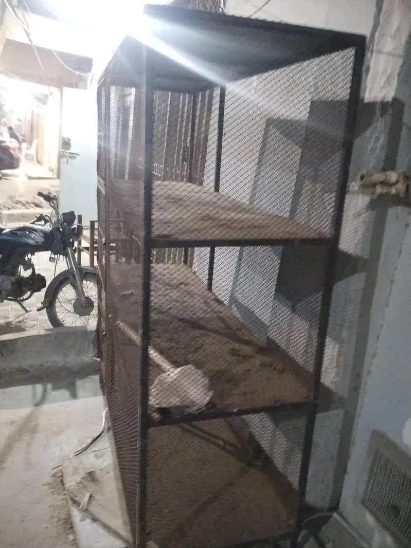 pinjra for sale