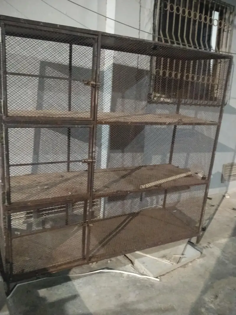 pinjra for sale — photo 2