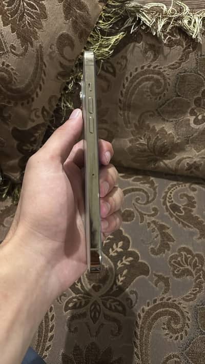 Apple iPhone 12 Pro Max