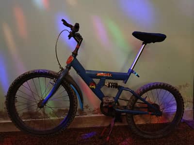 Mountain Bicycle