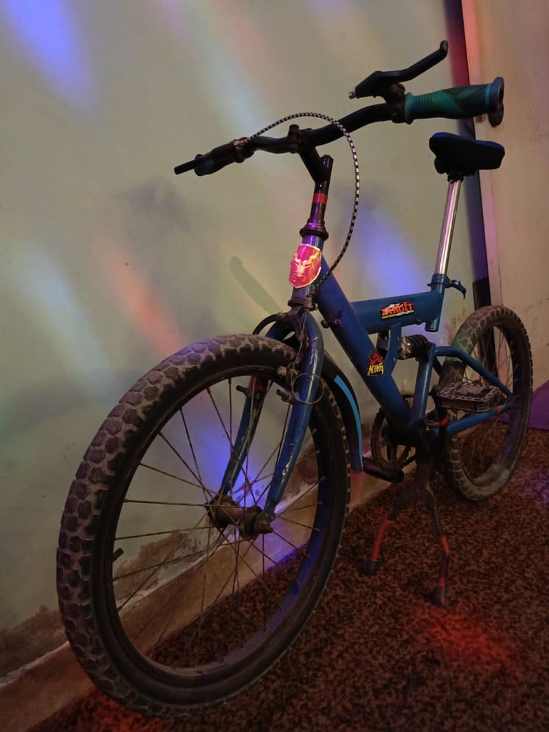 Mountain Bicycle 1