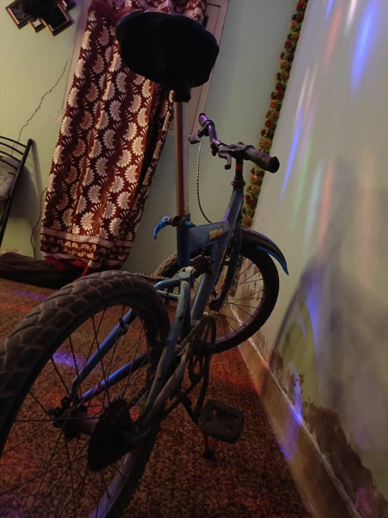 Mountain Bicycle 2