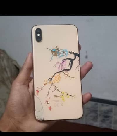iPhone XS Max 64 gb bypass