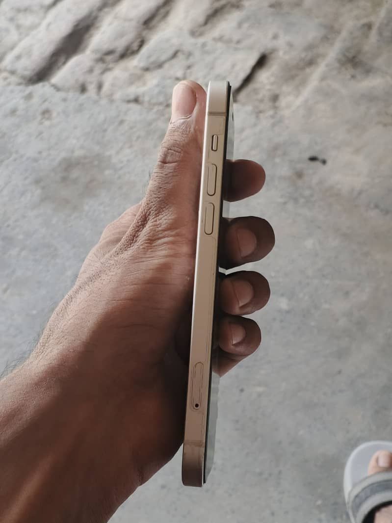Apple iPhone 12 1