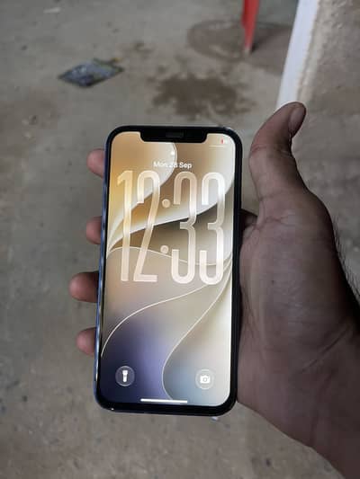 Apple iPhone 12