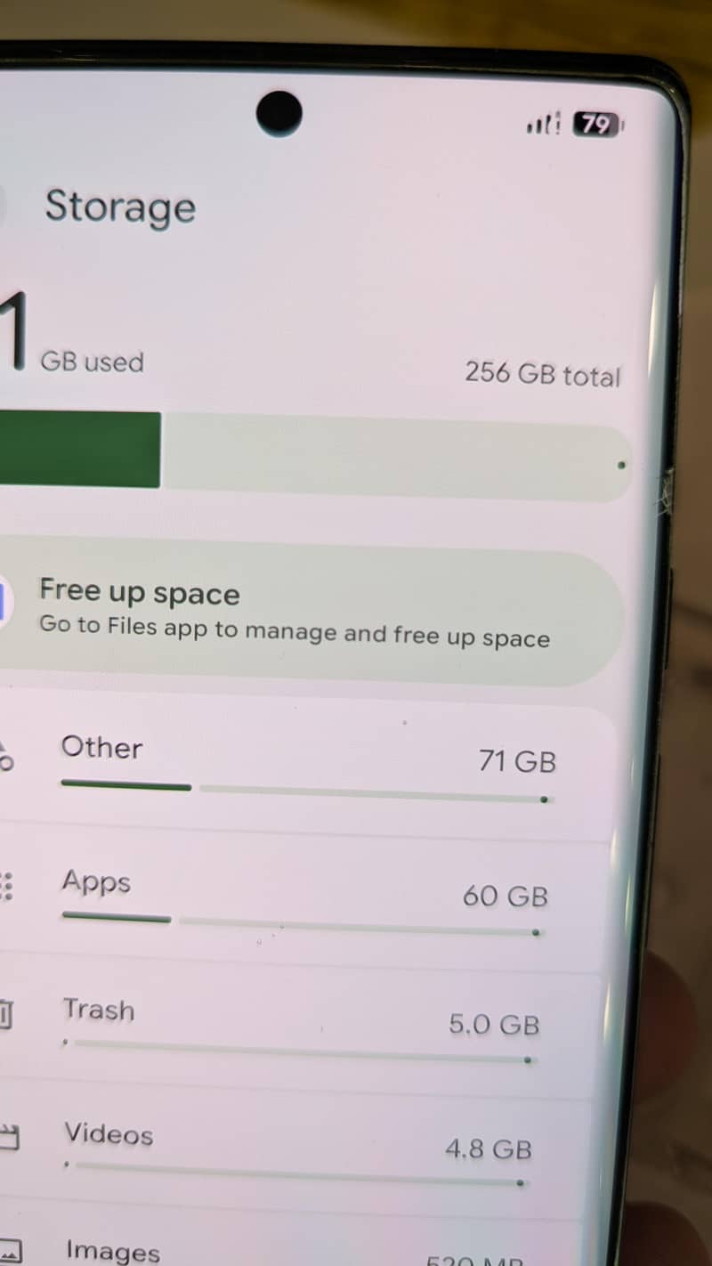 google pixel 6 pro 1