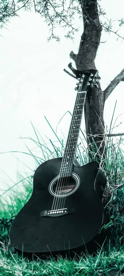 Acoustic Guitar with Bag & Capo