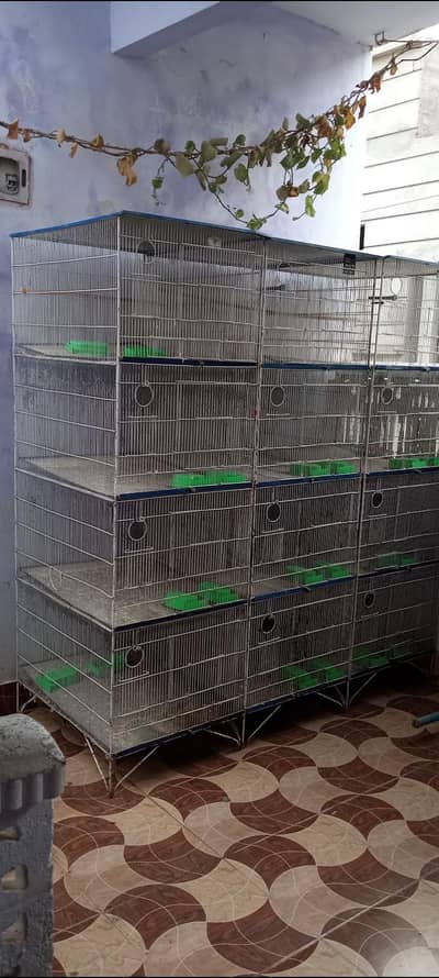 lovebirds cage
