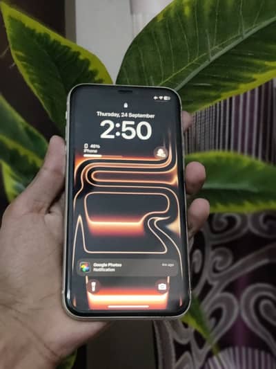 iPhone 11 Bul Bul ka bacha