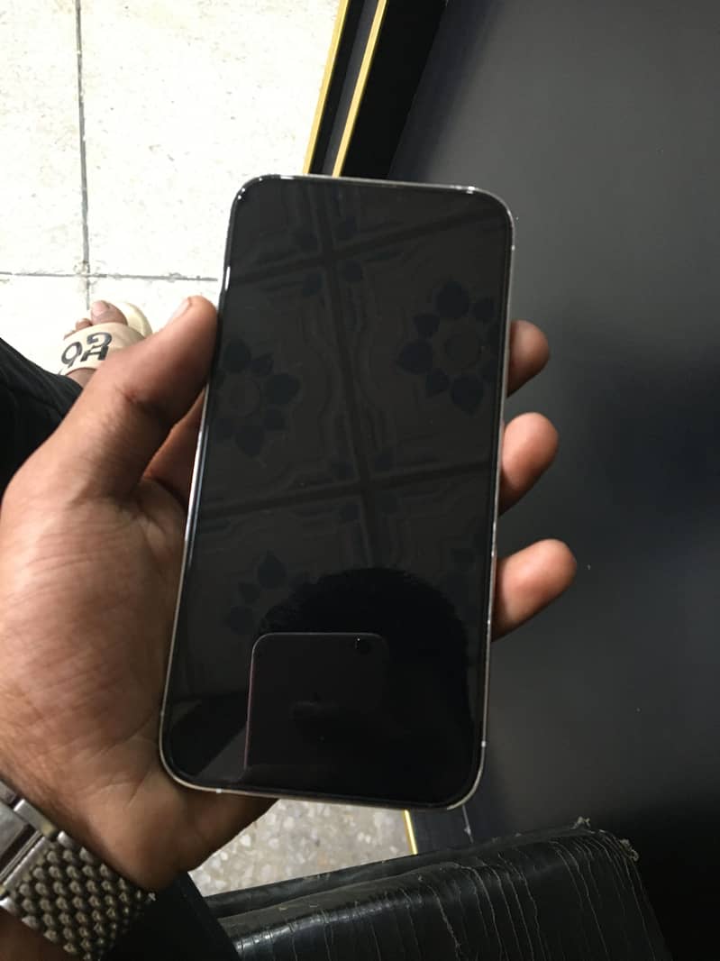 iPhone 13 Pro Max 1