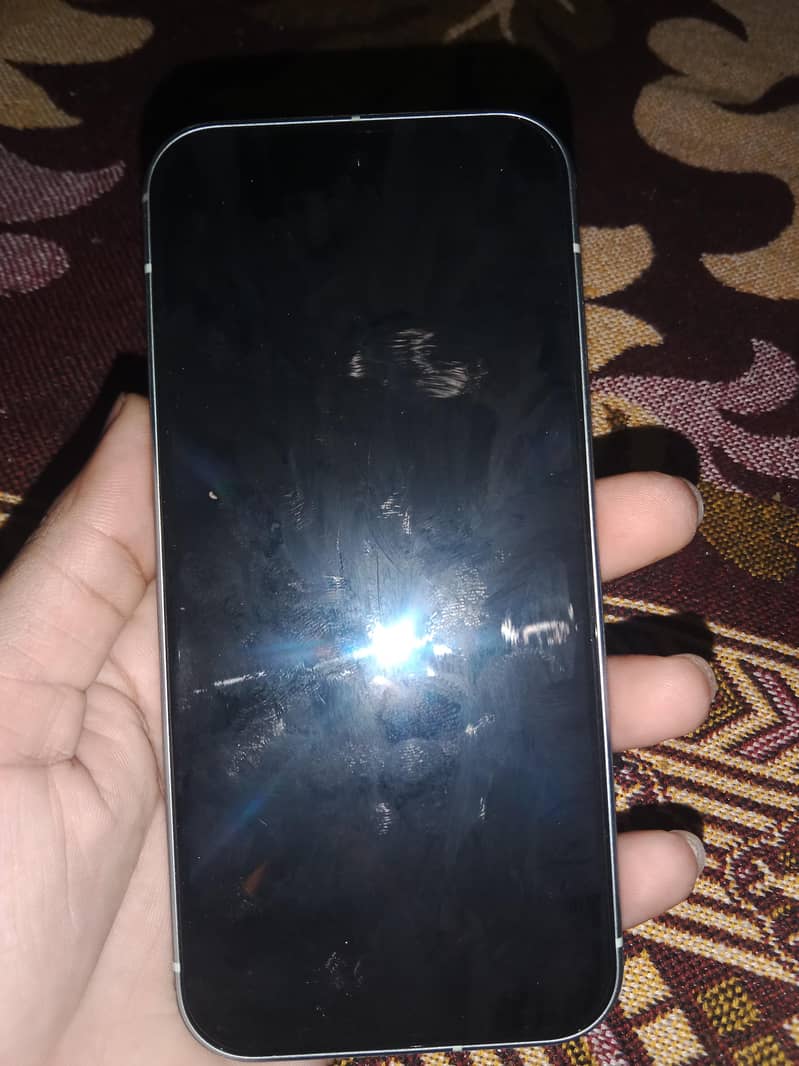 Google Pixel 9 1