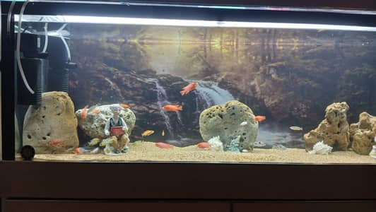 Aquarium