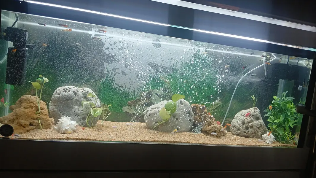 Aquarium — photo 2