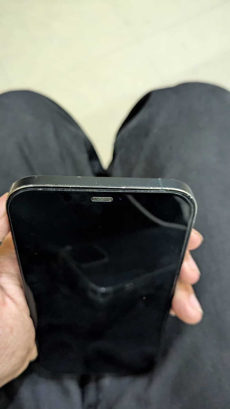 Apple iPhone 12 Pro Max 1
