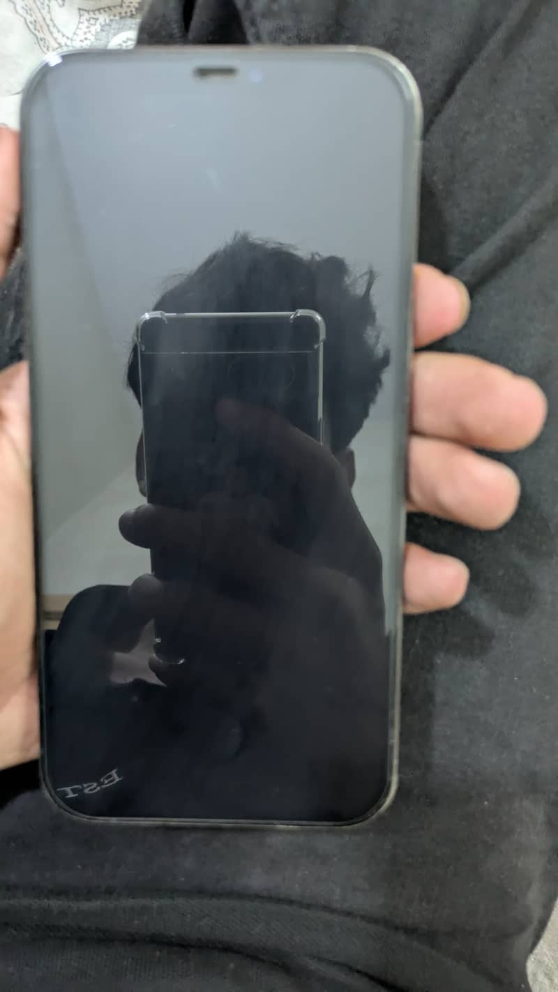 Apple iPhone 12 Pro Max 3