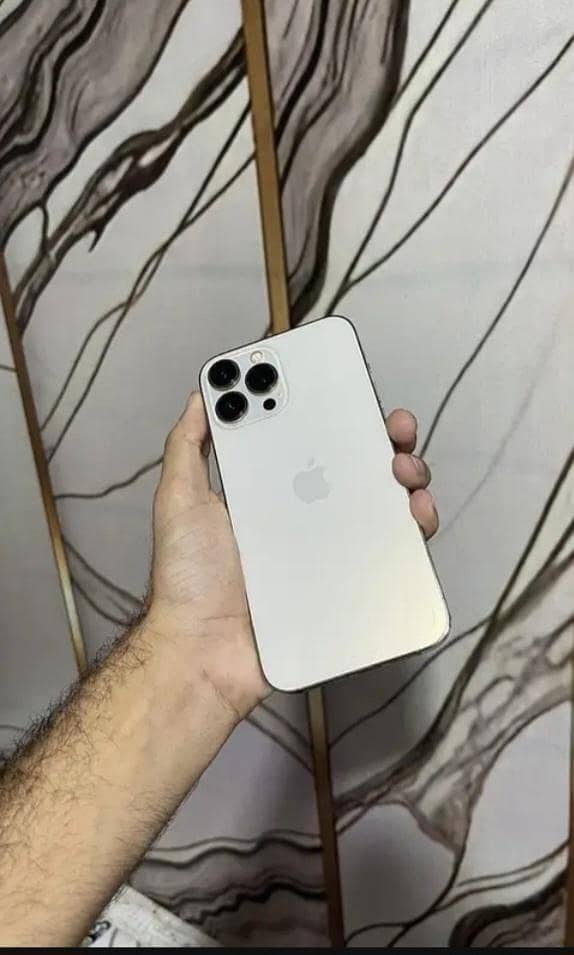 Apple iPhone 13 Pro Max 0