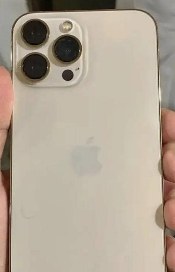 Apple iPhone 13 Pro Max 1