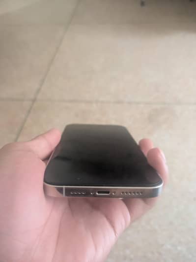 iPhone 12 Pro Max non pta