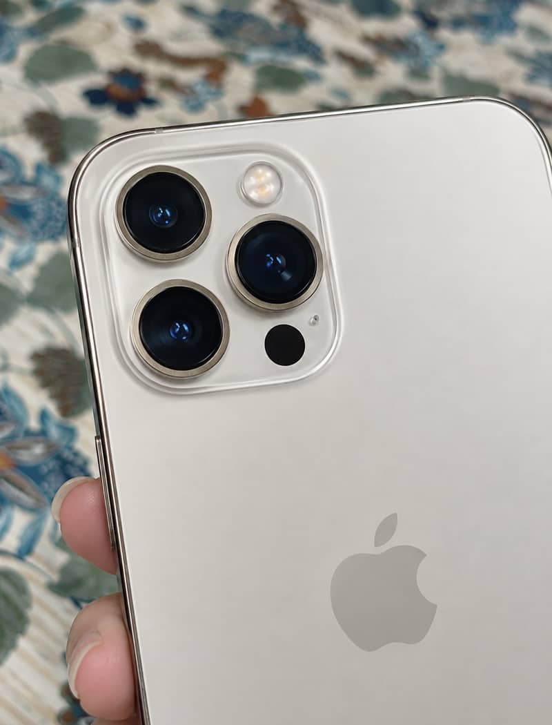 Apple iPhone 12 Pro Max 1