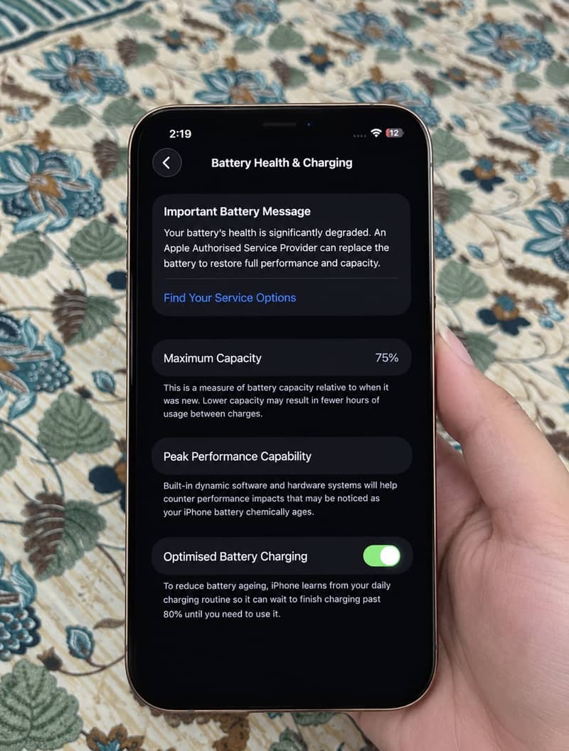 Apple iPhone 12 Pro Max 2