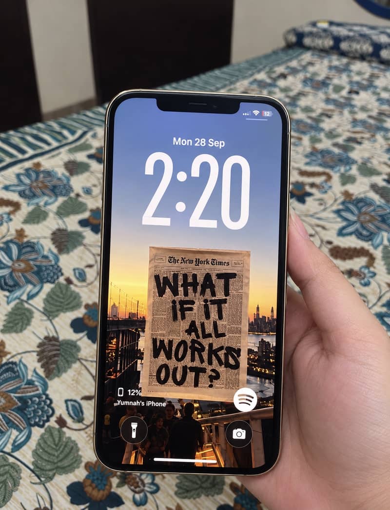 Apple iPhone 12 Pro Max 3