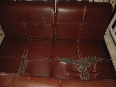 4 seater single single