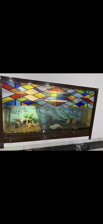 Full size fish aquarium in excellent condition