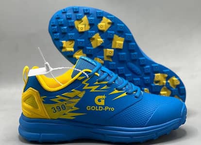 sport shoes