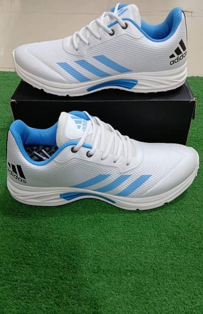 Sport shoes