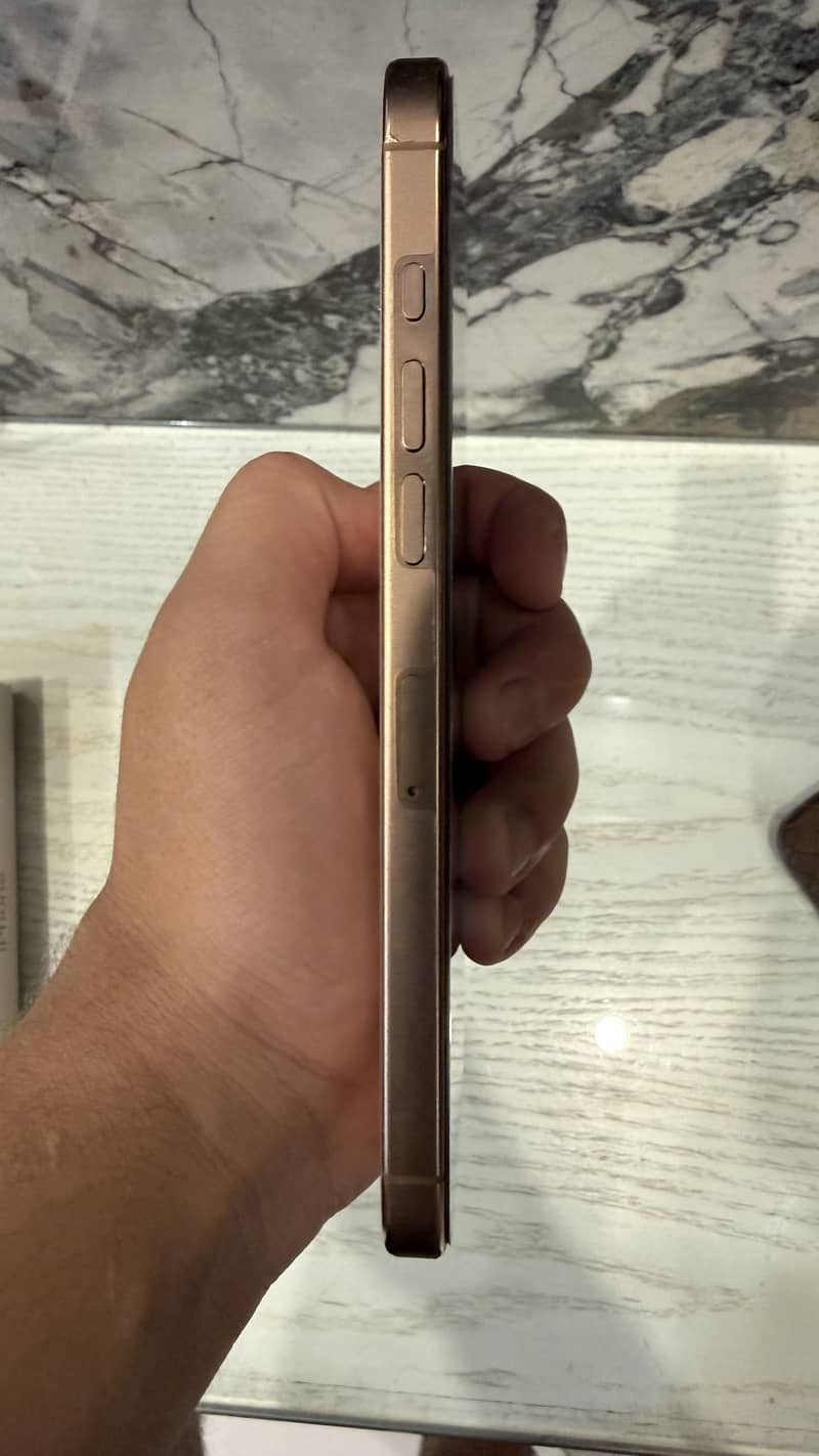 Apple iPhone 16 Pro Max 1