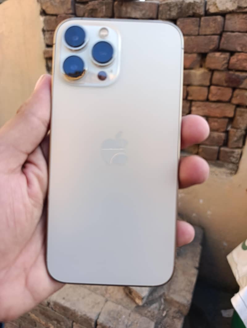 Apple iPhone 13 Pro Max 0