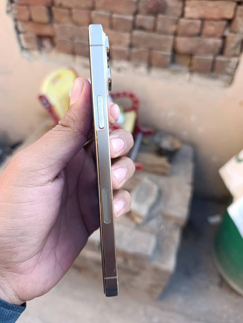 Apple iPhone 13 Pro Max 3