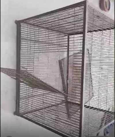 cage for exotic breeder parrots