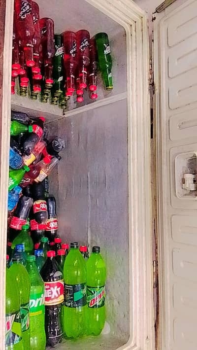 Large size Freezer