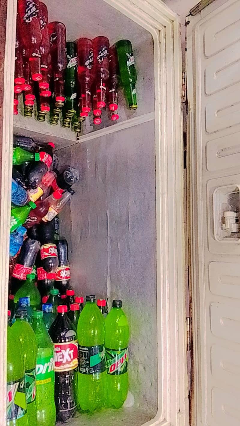 Large size Freezer 0